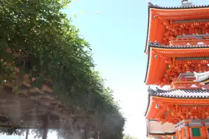 2025-10-00 Osaka, Japan - Osaka (91).webp